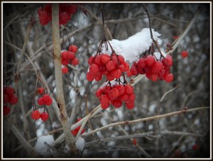 Spring will come, whether I'm ready for it or not.