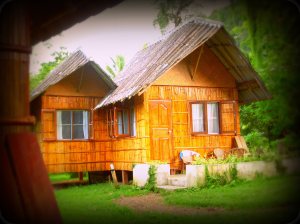 Not the museum. But well worth one last visit.